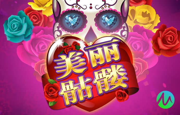 鸿博体育app